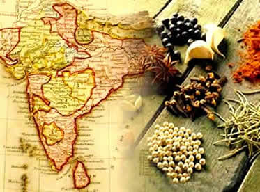 O sabor e o exotismo das especiarias indianas despertaram a cobiça de vários comerciantes europeus